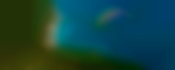 Webagentur